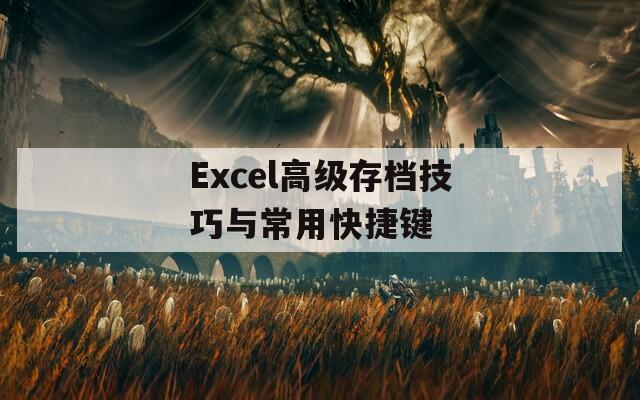 Excel高级存档技巧与常用快捷键