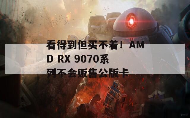 看得到但买不着！AMD RX 9070系列不会贩售公版卡