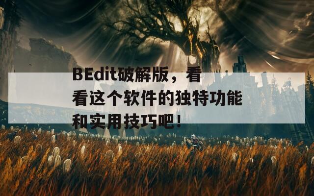 BEdit破解版，看看这个软件的独特功能和实用技巧吧！