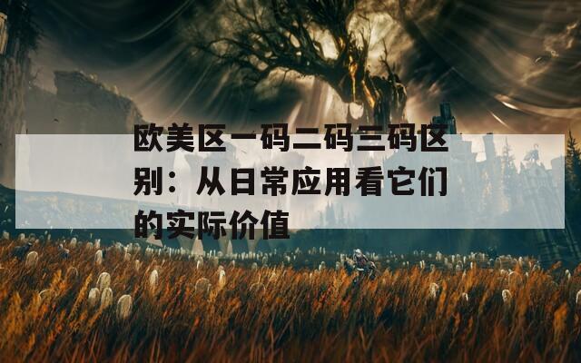 欧美区一码二码三码区别：从日常应用看它们的实际价值