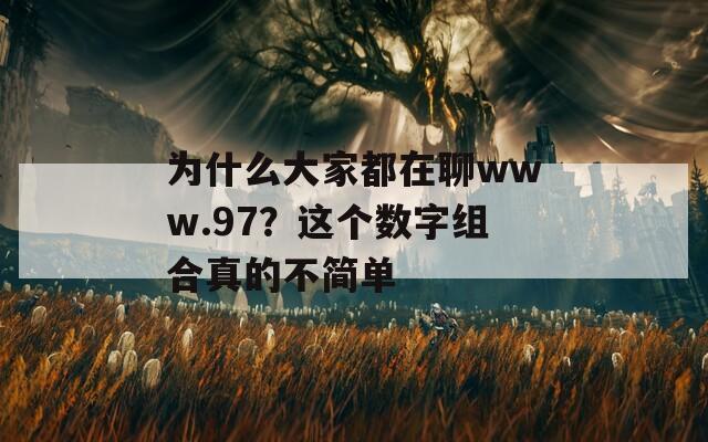 为什么大家都在聊www.97？这个数字组合真的不简单