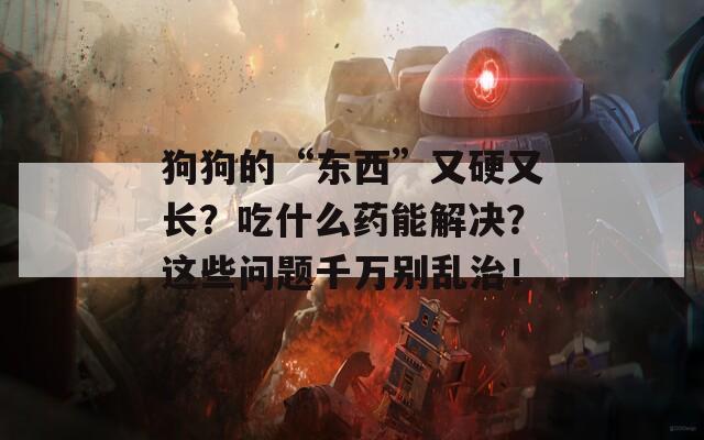 狗狗的“东西”又硬又长？吃什么药能解决？这些问题千万别乱治！