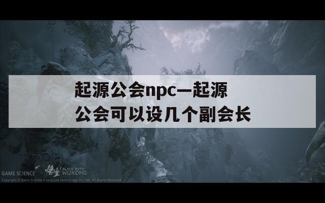 起源公会npc—起源公会可以设几个副会长