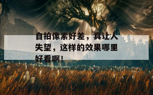 自拍像素好差，真让人失望，这样的效果哪里好看啊！