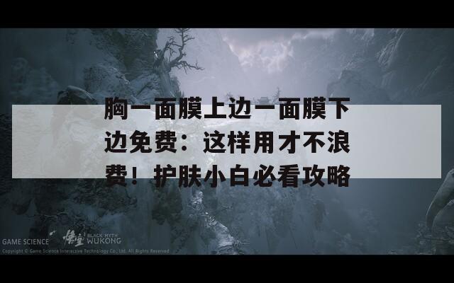 胸一面膜上边一面膜下边免费：这样用才不浪费！护肤小白必看攻略