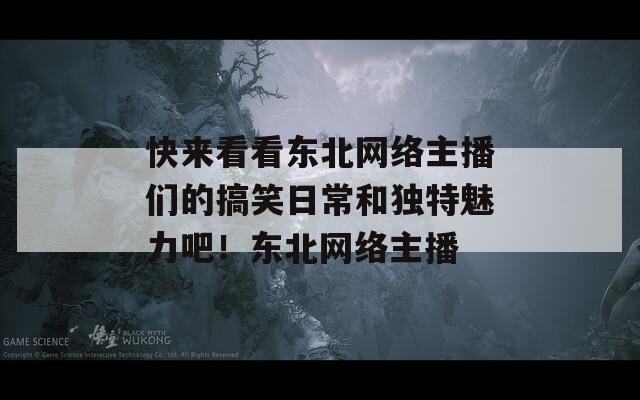 快来看看东北网络主播们的搞笑日常和独特魅力吧！东北网络主播