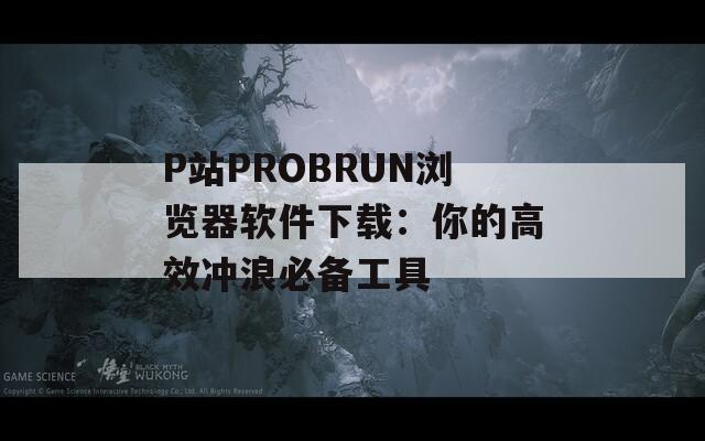 P站PROBRUN浏览器软件下载：你的高效冲浪必备工具