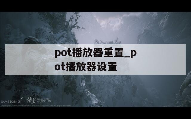 pot播放器重置_pot播放器设置