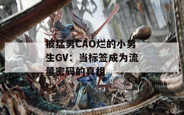 被猛男CAO烂的小男生GV：当标签成为流量密码的真相