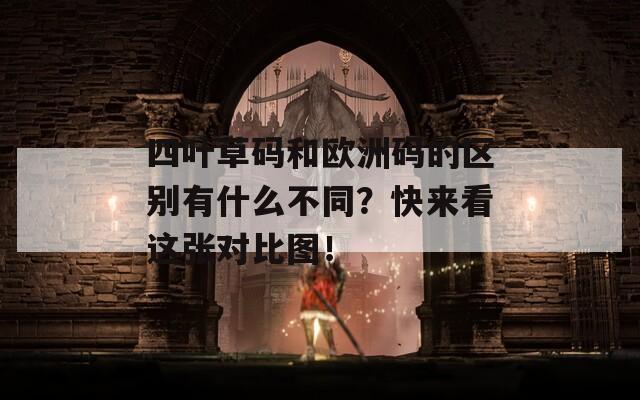 四叶草码和欧洲码的区别有什么不同？快来看这张对比图！