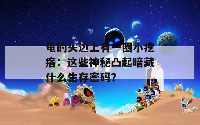 龟的头边上有一圈小疙瘩：这些神秘凸起暗藏什么生存密码？