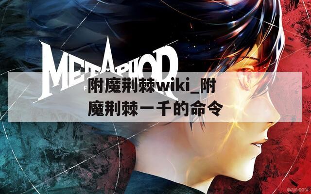 附魔荆棘wiki_附魔荆棘一千的命令