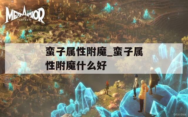 蛮子属性附魔_蛮子属性附魔什么好