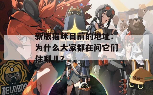 新版猫咪目前的地址：为什么大家都在问它们住哪儿？
